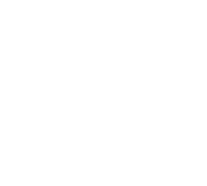 081112_Logo_Blechnerei_Singler-(2)